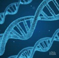 Рядка генна мутация предразполага към рак