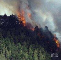 МАСОВО: Евакуират Канарските острови заради горски пожар 