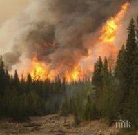 ВНИМАНИЕ: Опасност от пожари в три области у нас