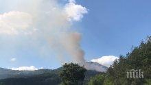 Локализираха пожара край София