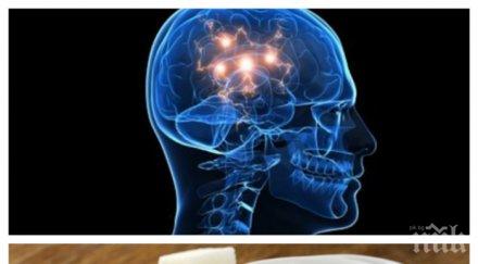 революция учени откриха начин подмладяват мозъка