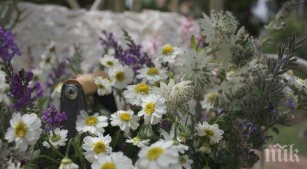 звездите говорят сключвайте договори никакъв случай взимайте давайте заеми