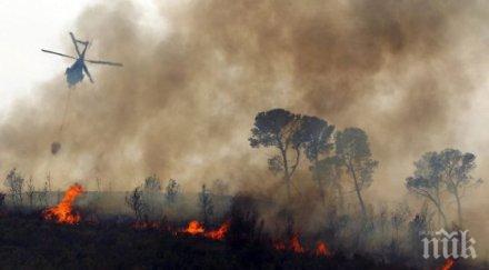 огнен апокалипсис 000 декара гори изгорели пожара остров евбея