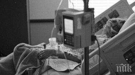 албанка почина миша треска