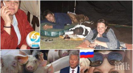 пик немската ард пуснахте фалшива новина блокадата сливен организаторите политици признаха изравяли останки прасета снимки видео