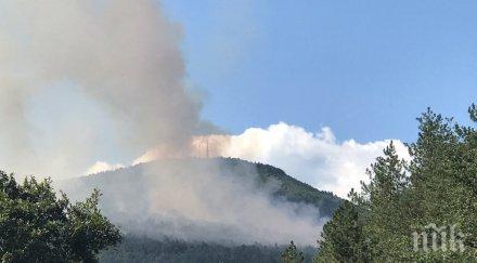 първо пик голям пожар бушува софия снимки обновена