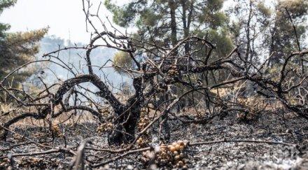 локализиран пожарът гръцкия остров евбея