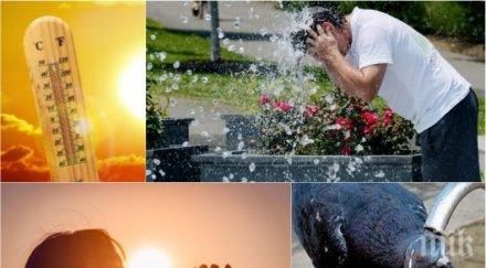 топлото лято връща слънцето грее щедро температурите достигнат градуса