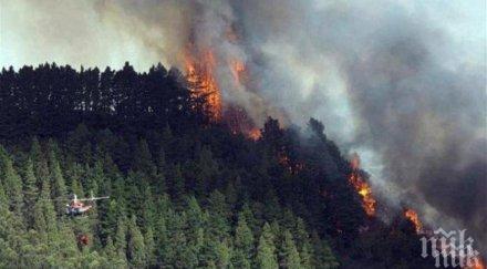 масово евакуират канарските острови заради горски пожар