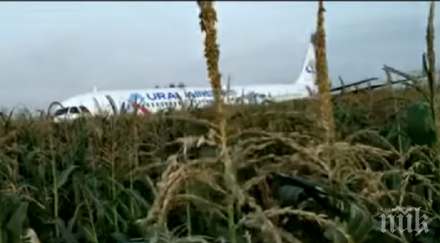 руски самолет 234 души борда кацна царевична нива видео