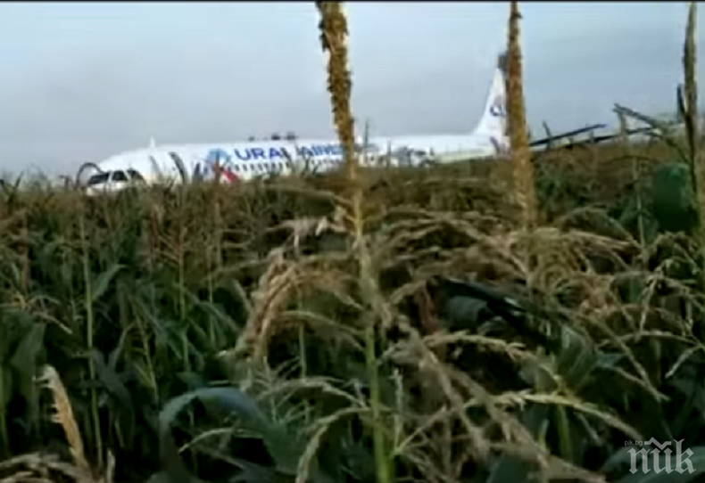 МАЙСТОРЛЪК: Пилотите, приземили самолет с 234 души на борда в царевична нива в Русия, се оказаха новаци в професията (ВИДЕО)