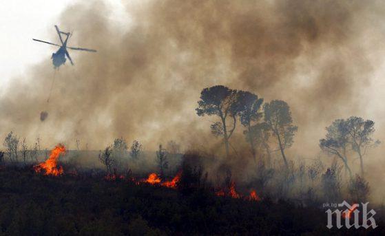 ОГНЕН АПОКАЛИПСИС: 25 000 декара гори са изгорели в пожара на остров Евбея