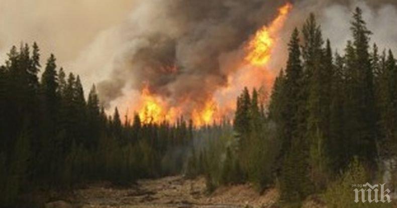 ЕКСТРЕМНО: Обявиха пожароопасност за пет области (КАРТА)