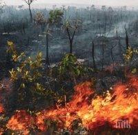 КАКВО СЕ СЛУЧВА: След Сибир пламна и Амазонската джунгла
