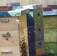 Къща и кошери изгоряха в Смолянско