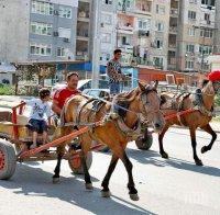 Цигани с каруци дрифтят в 