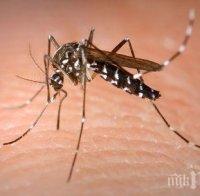 Първа жертва взе западнонилската треска в Сърбия 
