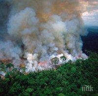 Макрон загрижен: Пожарите в Амазония са международна криза