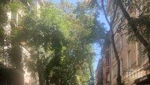 ПЪРВО В ПИК: Сигналът за бомба в БНТ затвори няколко улици (СНИМКИ)