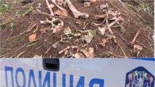 ПЪРВО В ПИК: Спешна експертиза за костите край Враца - проверяват дали са животински