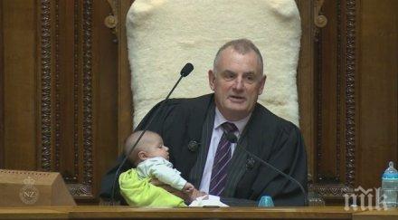 седмично бебе парламента нова зеландия снимки