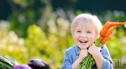 осъдиха родители поставили детето веган диета