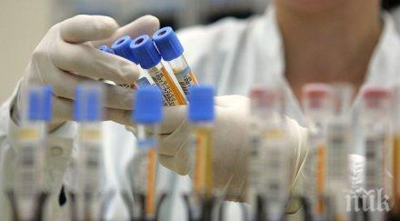 изследват безплатно спин силистра