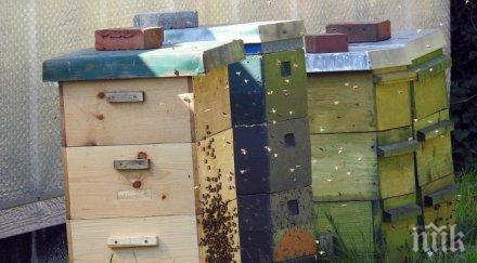 къща кошери изгоряха смолянско