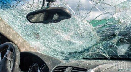 семейство малки деца размаза голф монтана враца снимки