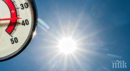 вярване шишковците понасят добре жегата