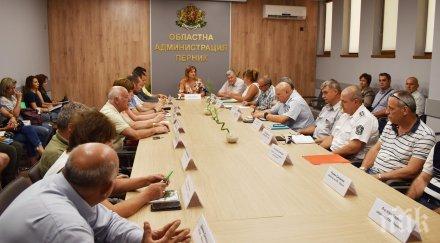 първи случай чума свинете пернишко областният управител свика спешно заседание