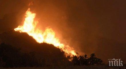 мвнр пострадали българи пожарите гран канария