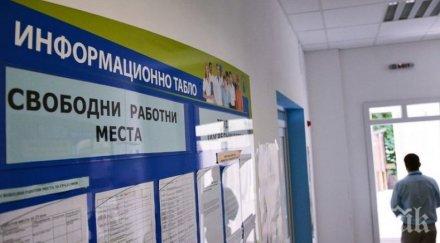 хил опашка работа бюрата труда пловдивско