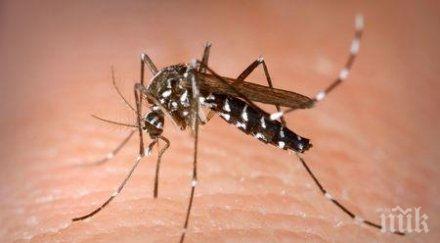 първа жертва взе западнонилската треска сърбия