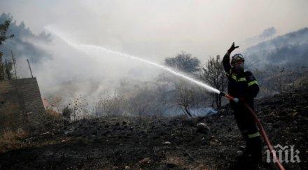 250 декара дъбова гора пасища изгоряха ветрен