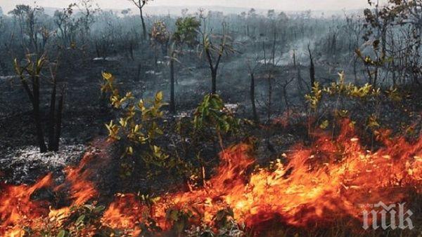 КАКВО СЕ СЛУЧВА: След Сибир пламна и Амазонската джунгла