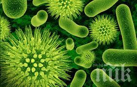 ОПАСНО: Испанка почина от листериоза, над 100 души заразени с опасната бактерия