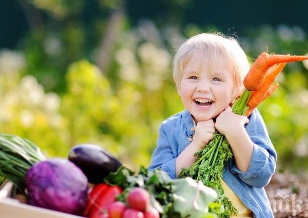 Осъдиха родители, поставили детето си на веган диета
