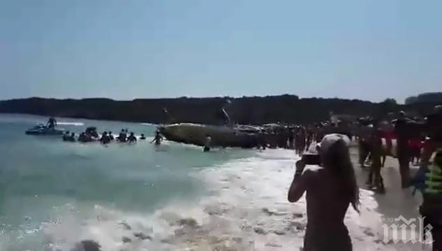Силен вятър запрати туристи с парашут на дърво край „Каваци” (ВИДЕО)
