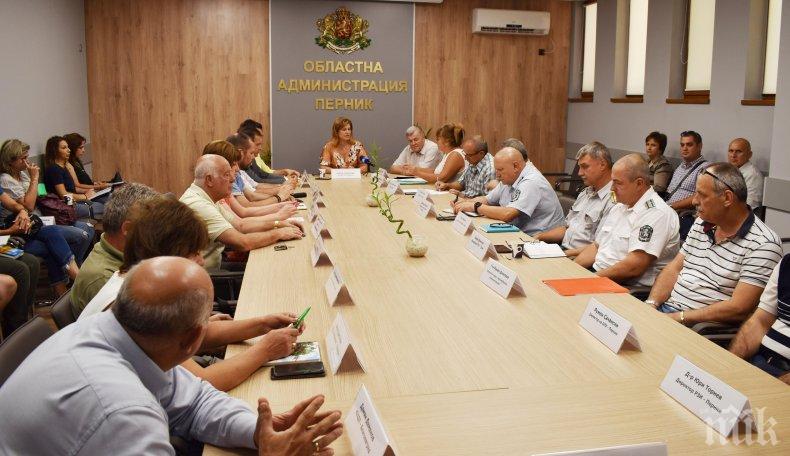 Първи случай на чума по свинете в Пернишко, областният управител свика спешно заседание