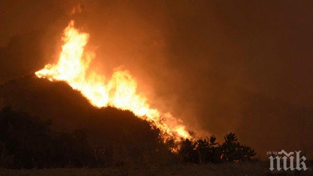 МВнР: Няма пострадали българи при пожарите на Гран Канария
