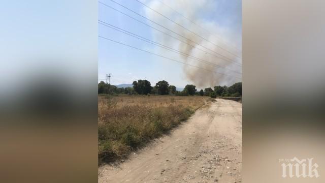Горски пожар избухна в района на двореца Кричим