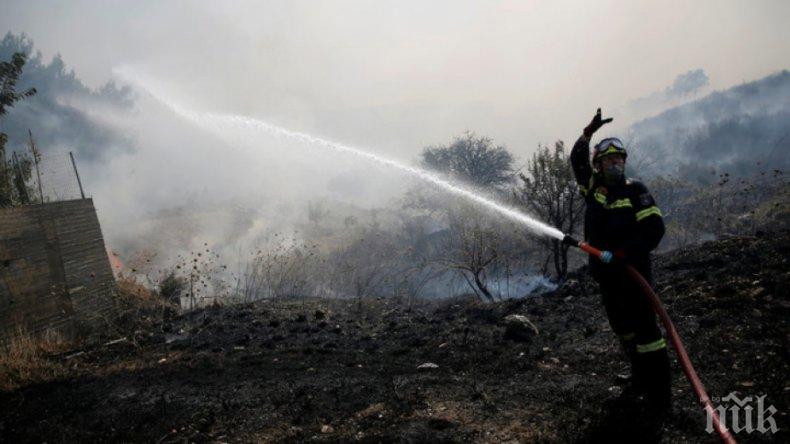 250 декара дъбова гора и пасища изгоряха край Ветрен