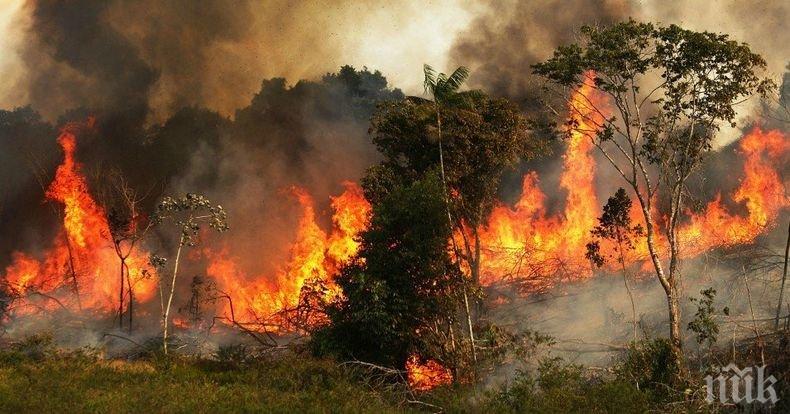Президентът на Бразилия обвини НПО-та за пожарите в Амазония (ШОКИРАЩИ СНИМКИ)