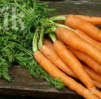 Хвърлете очилата с рецепта с моркови