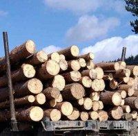 Надрусан дървосекач задигна кола на колега