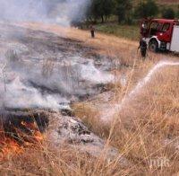 Голям пожар гори до село Бегово