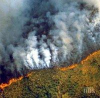 Бразилия хвърля армията срещу пожарите в Амазония
