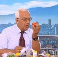 Проф. Мермерски: Пловдивският домат пази от рак!