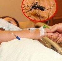 два случая западнонилска треска заболя годишно дете